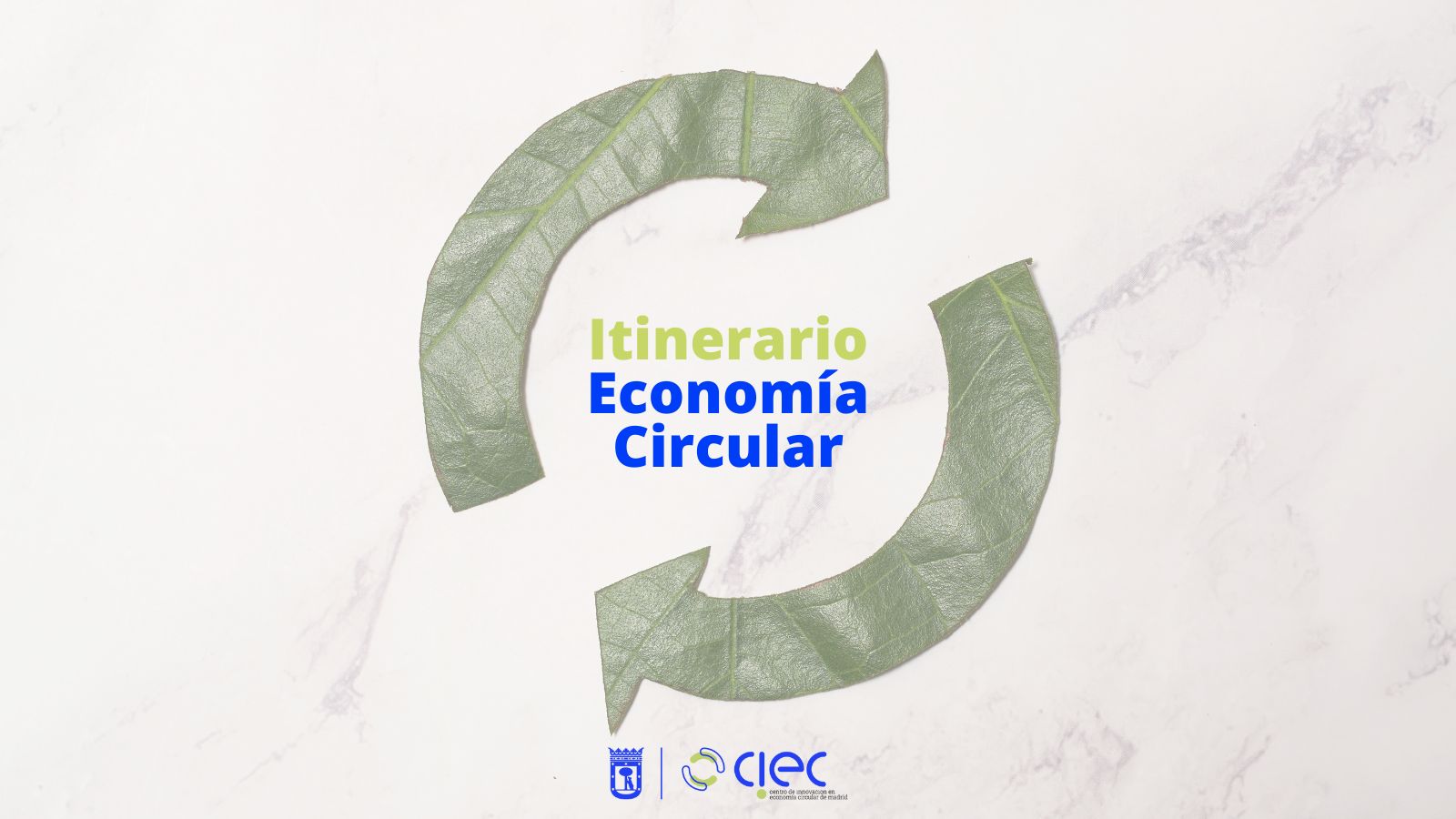 Itinerario de Economía Circular, Sesión 1: Introducción práctica a la economía circular