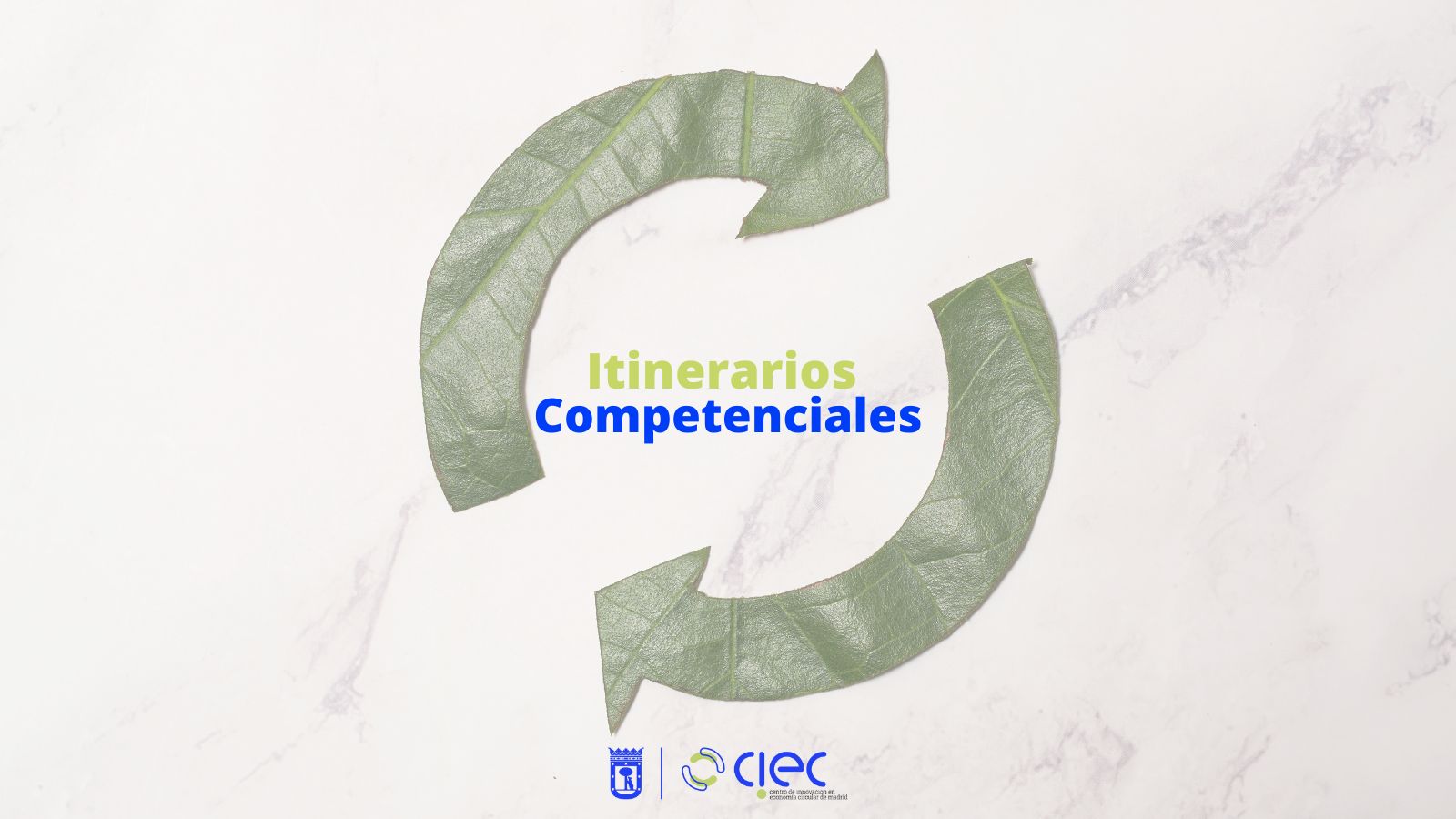 Itinerario Competencial, sesión 1: Introducción práctica a la economía circular